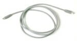The FireWire cable